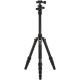Алюмінієвий штатив Benro (KIT) FTR19AB0GBLK